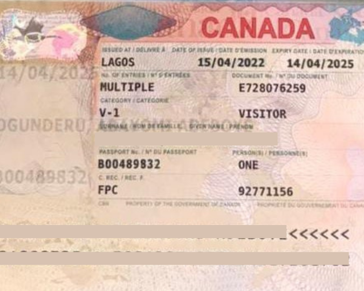 Immigration And Travel | Sijam Consults Limited travel agency