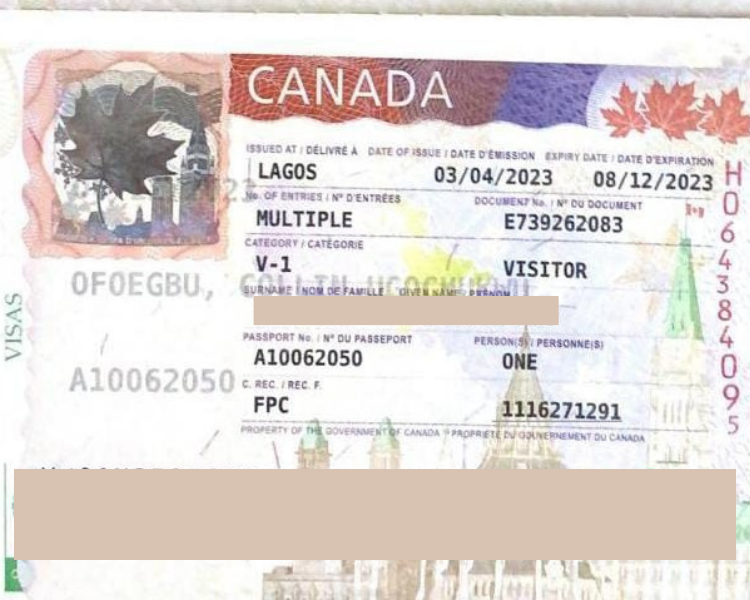 Immigration And Travel | Sijam Consults Limited travel agency