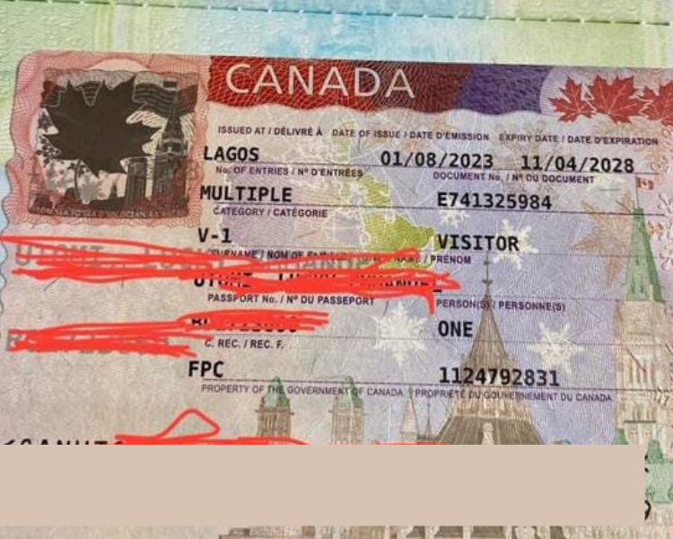 Immigration And Travel | Sijam Consults Limited travel agency